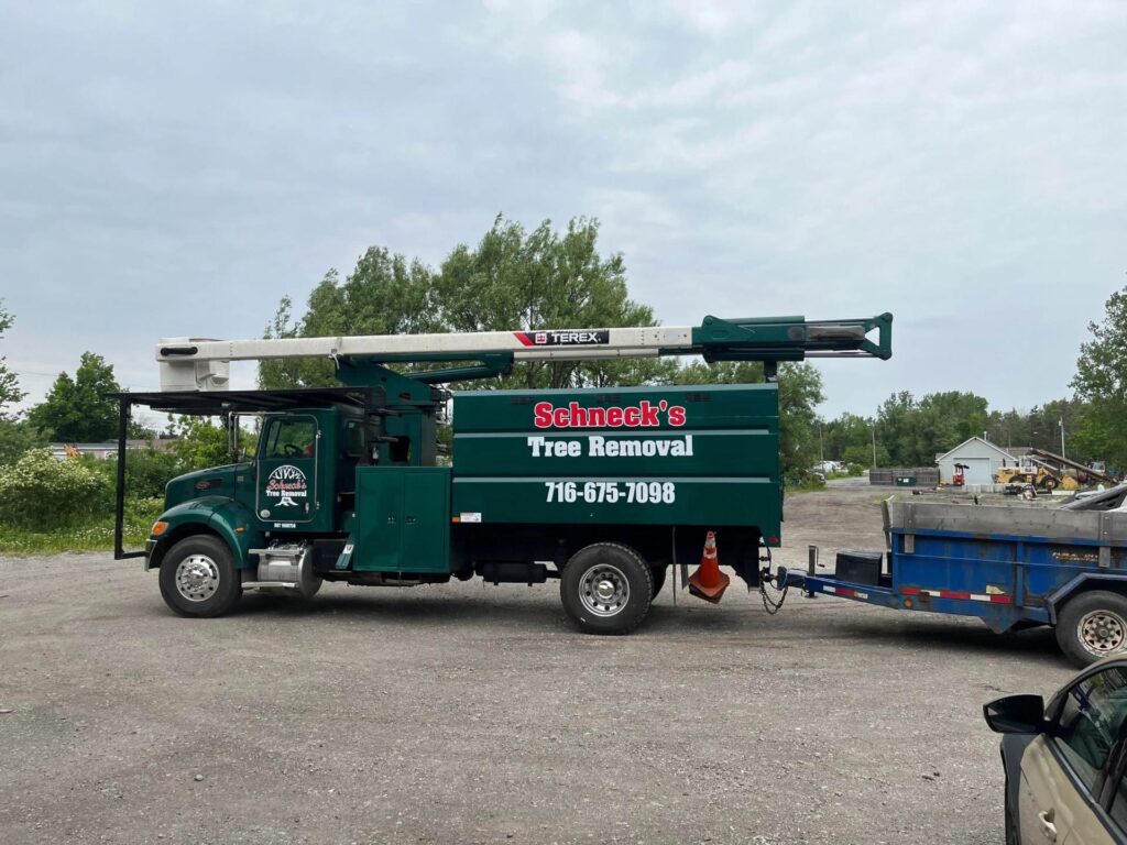 Schneck's Tree Removal Inc commercial and government contracts Erie County NY